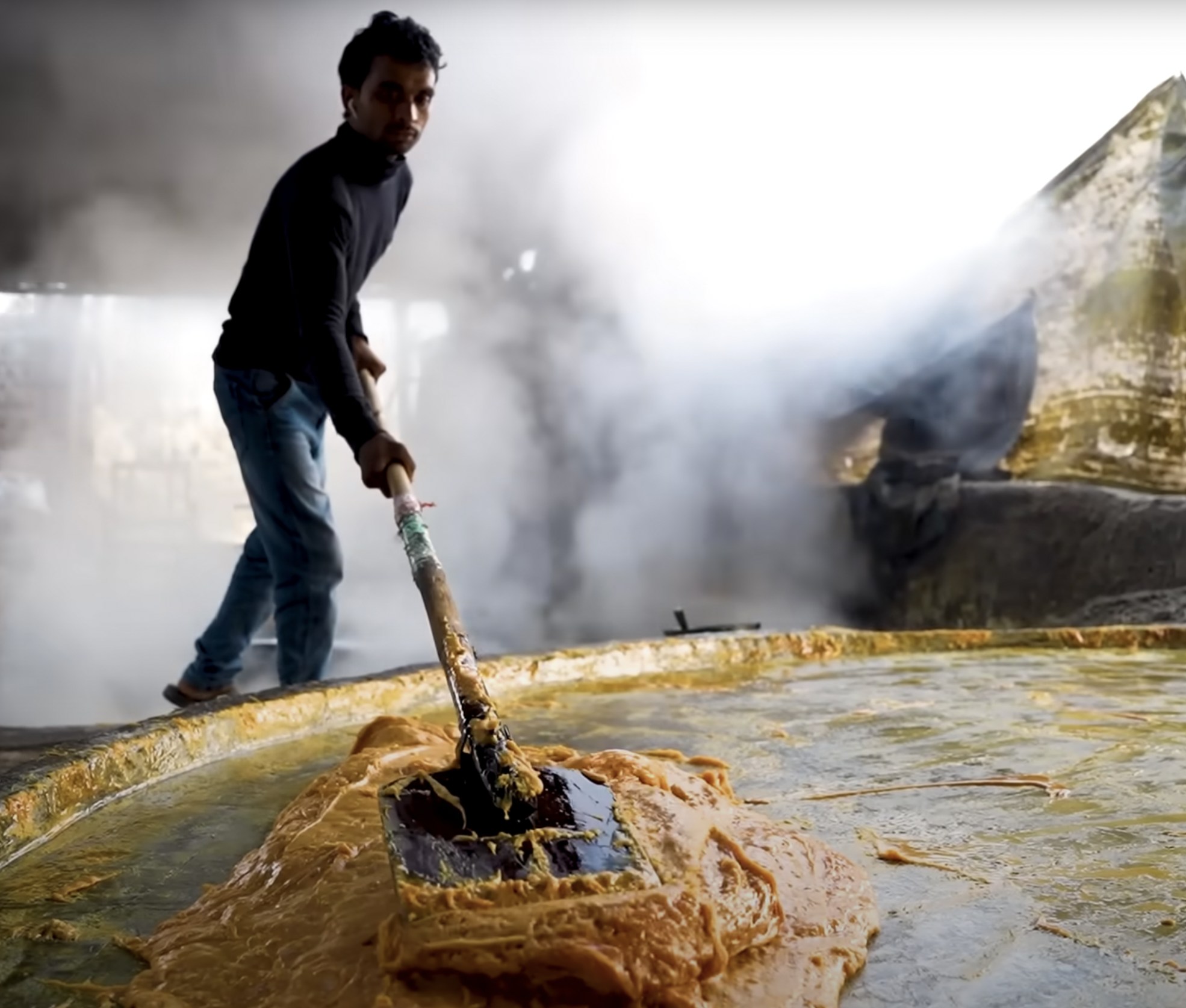 Farm and cooking scene